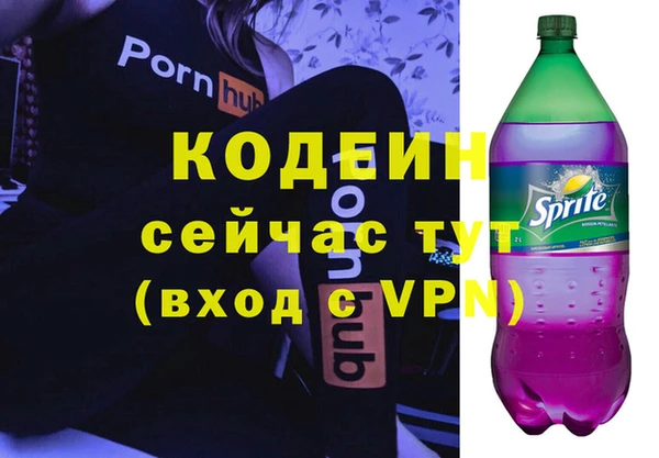крисы Сатка