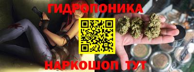 скорость Дубна