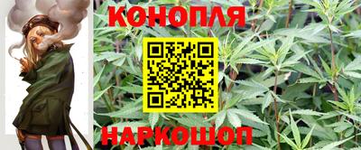 скорость Дубна