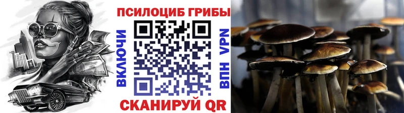 Псилоцибиновые грибы GOLDEN TEACHER Зеленодольск